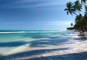 Image showing Tropical beach in Brazil 