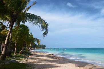 Image showing Tropical beach in Brazil 