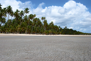 Image showing Tropical beach in Brazil 