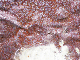 Image showing rusty metallic surface