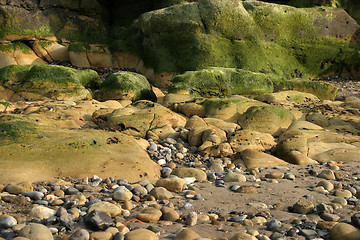 Image showing Beach Scene