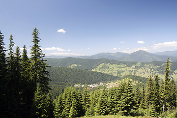 Image showing Forest landscape