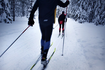 Image showing skier in a winter forest