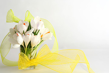 Image showing White crocus on white