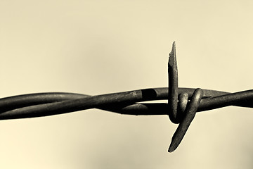 Image showing barbed wire monochrome