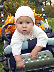 Image showing autumn stroll