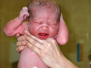 Image showing baby in hands