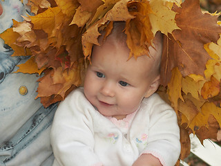 Image showing autumn beauty