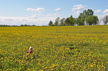 Image showing little child among flowers