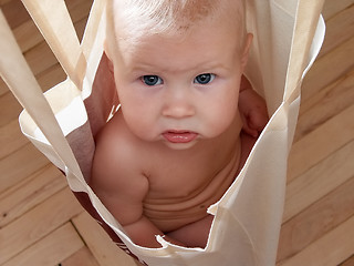 Image showing baby in bag