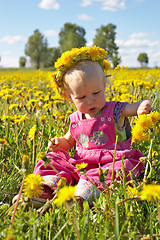 Image showing little girl on dandelion meadow