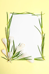 Image showing Spring flowers frame