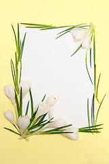 Image showing Spring flowers frame