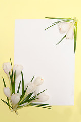 Image showing Spring flowers frame