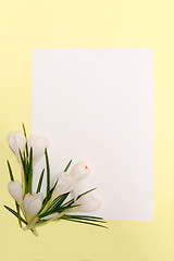 Image showing Spring flowers frame