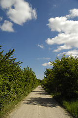 Image showing Pathway