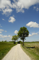 Image showing Pathway