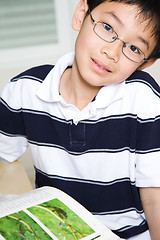 Image showing Studying kid