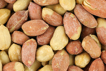 Image showing Roasted Peanut Seeds