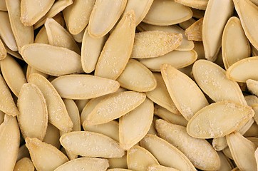 Image showing Roasted and salted pumpkin seeds