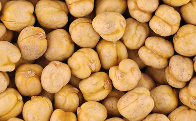 Image showing Chickpeas