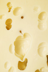 Image showing cheese background