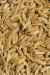 Image showing Caraway Seeds