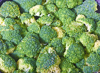 Image showing Broccolli background