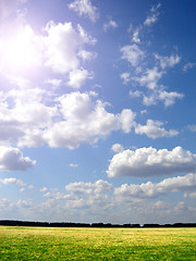 Image showing green field and blue sky
