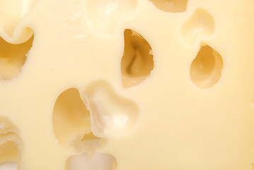 Image showing cheese