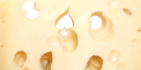 Image showing cheese