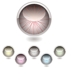 Image showing iris button collection