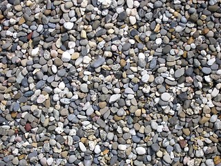 Image showing pebbles