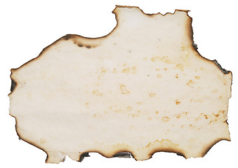 Image showing burnt paper