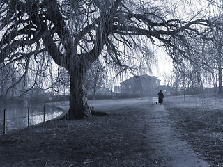 Image showing Foggy day in the park