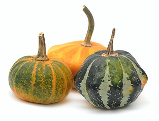 Image showing Three fancy pumpkins isolated over white