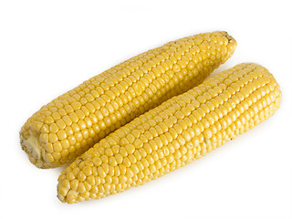 Image showing Corn