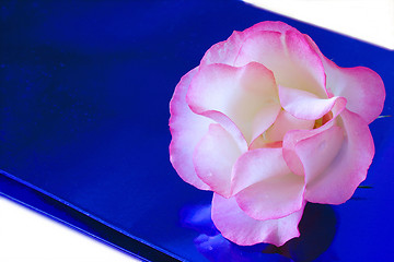 Image showing a rose on a gift