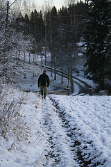 Image showing walking