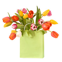 Image showing tulips