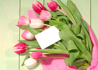 Image showing tulips