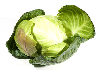 Image showing cabbage vegetable one whole 