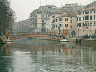 Image showing treviso