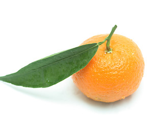 Image showing Tangerine with one leaf