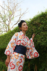 Image showing Geisha