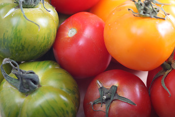 Image showing Tomato varieties red green and yellow