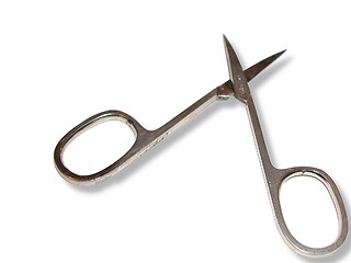 Image showing Small scissors