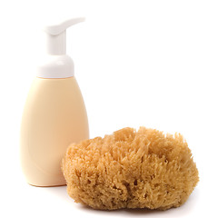 Image showing sponge and shower gel