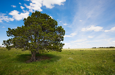 Image showing Spring landscape