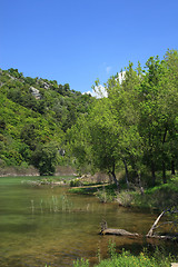 Image showing summer landscape 